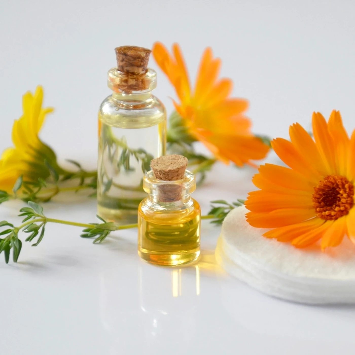 Calendula oils and cotton pads arranged on a clean white surface