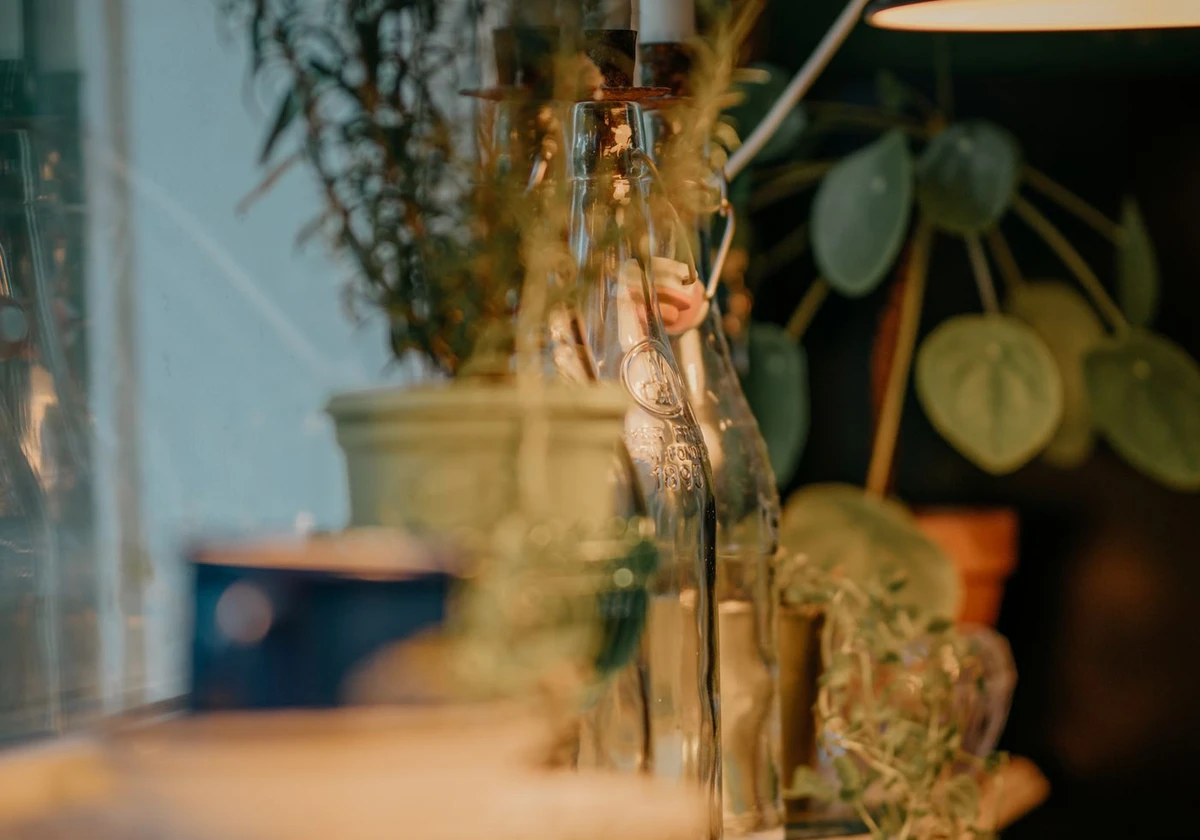 Warm evening interior with glass bottles, greenery, and ambient lamps